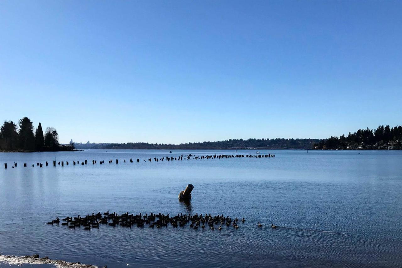Seattle-Area Studio, 2 Mi To St Edward State Park! Kenmore المظهر الخارجي الصورة