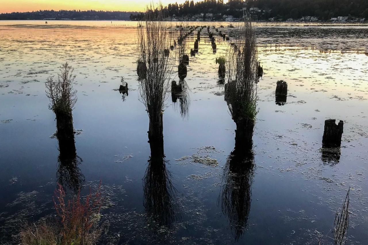 Seattle-Area Studio, 2 Mi To St Edward State Park! Kenmore المظهر الخارجي الصورة